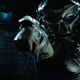 The Predator, looking to... predate... I guess.